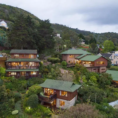 Big Tree House Lodge Knysna Exterior photo