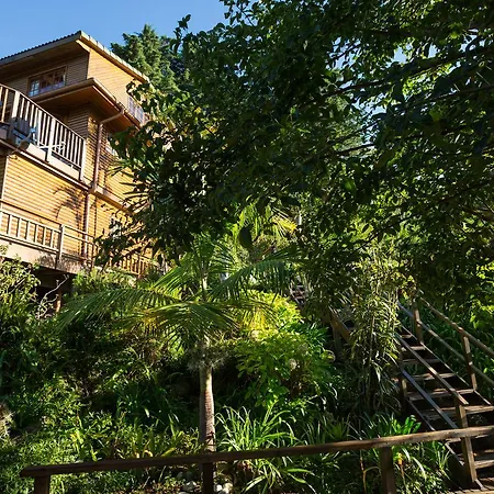 Big Tree House Lodge Knysna Exterior photo