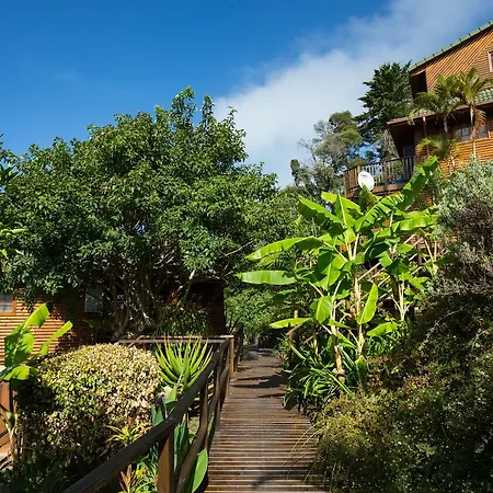 Big Tree House Lodge Knysna Exterior photo