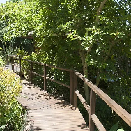 Big Tree House Lodge Knysna Exterior photo
