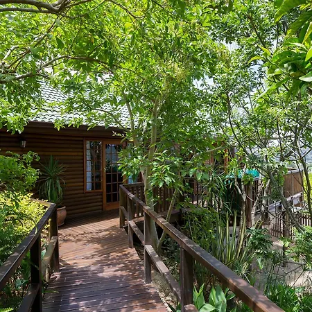 Big Tree House Lodge Knysna Exterior photo