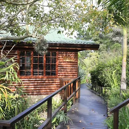 Big Tree House Lodge Knysna Exterior photo
