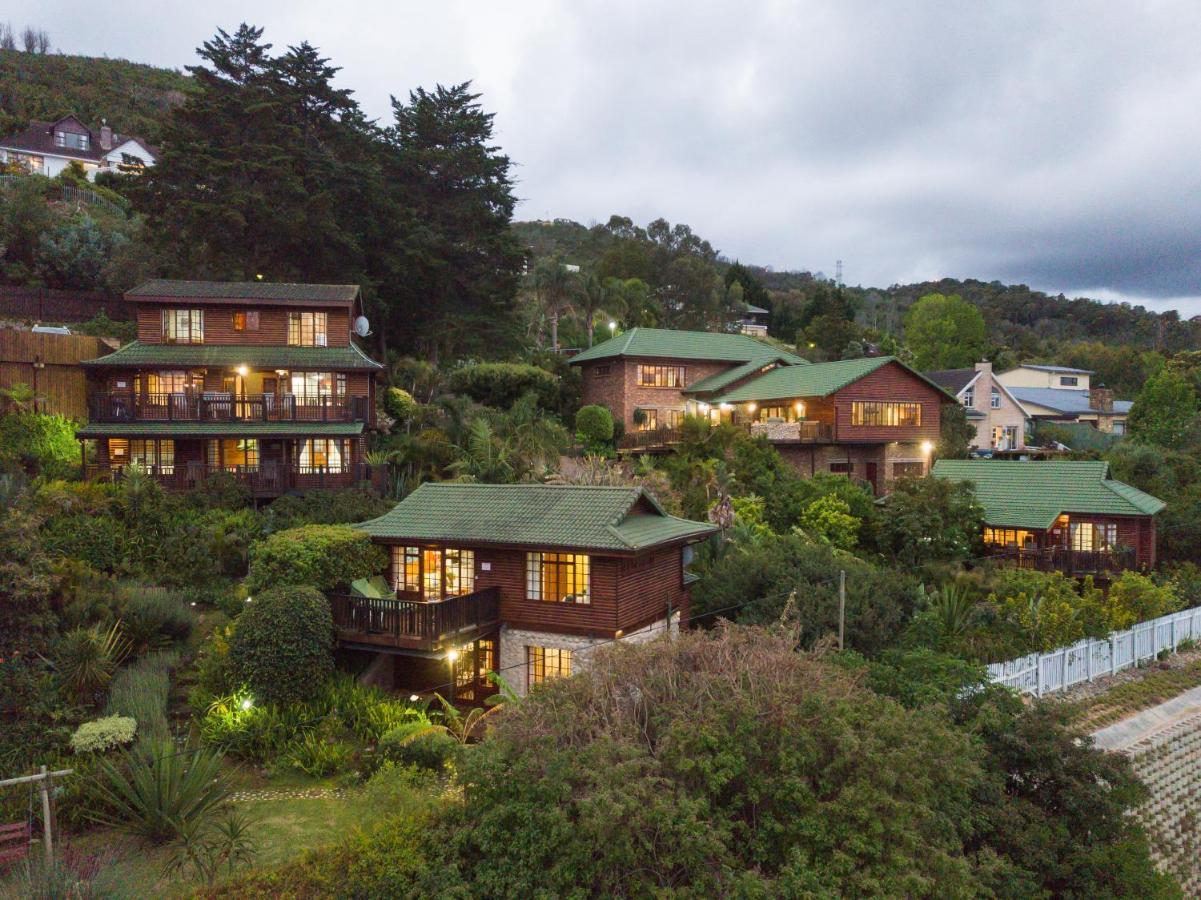 Big Tree House
