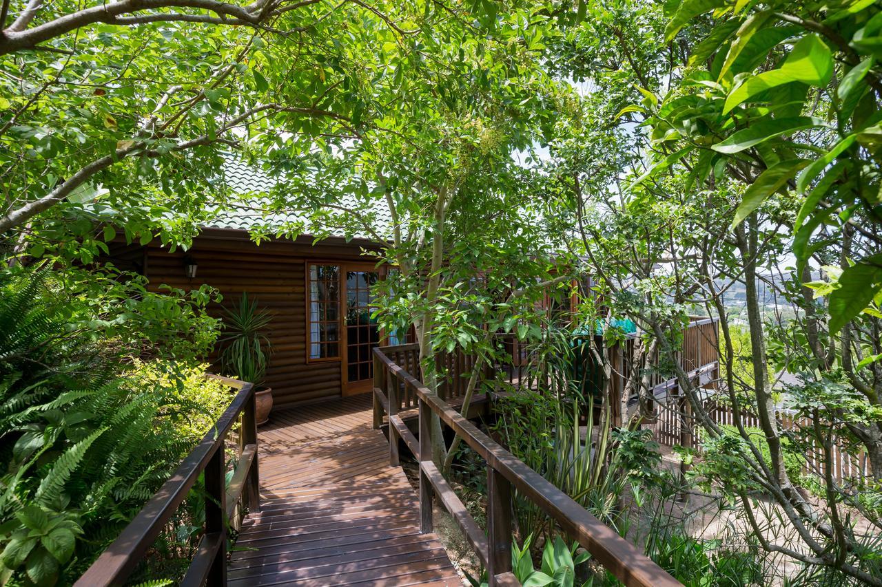 Big Tree House * Knysna