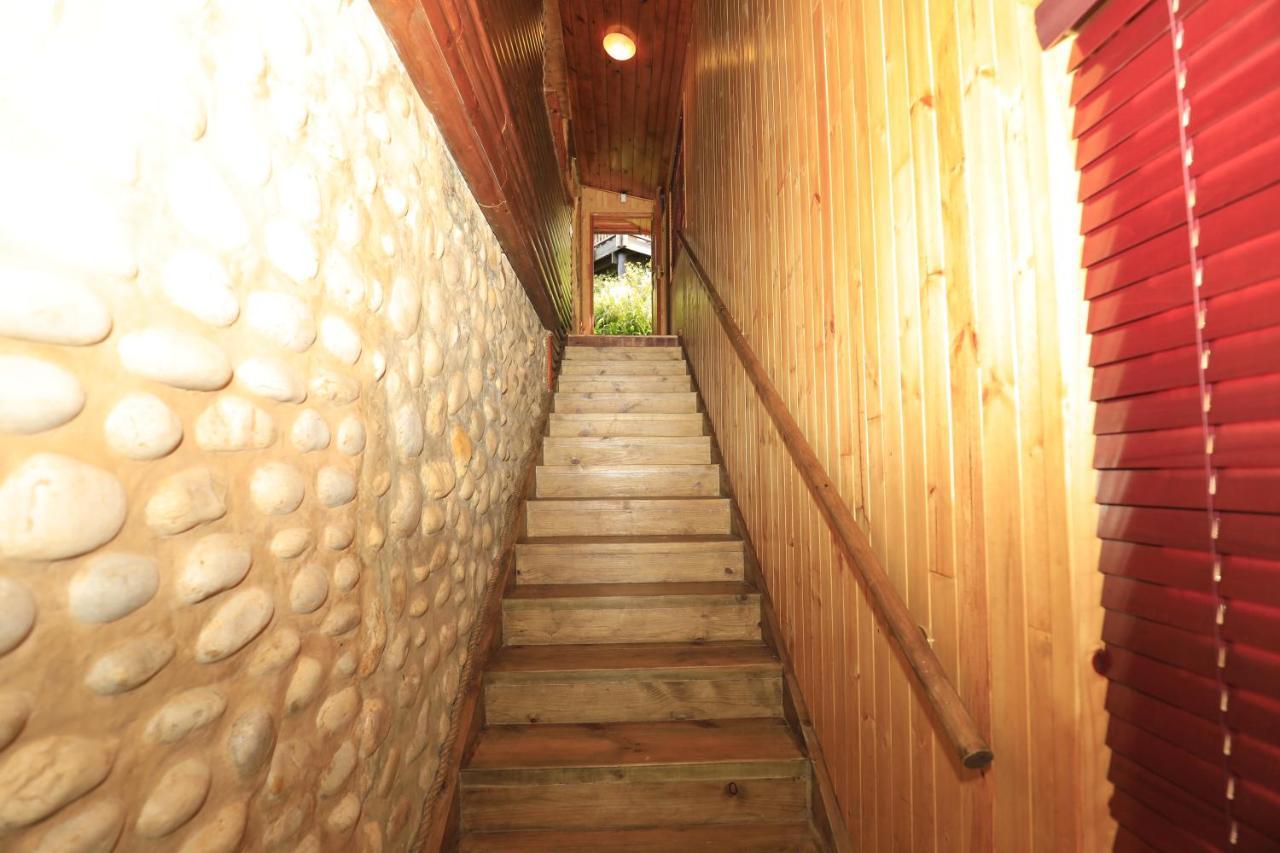 Lodge Big Tree House *
